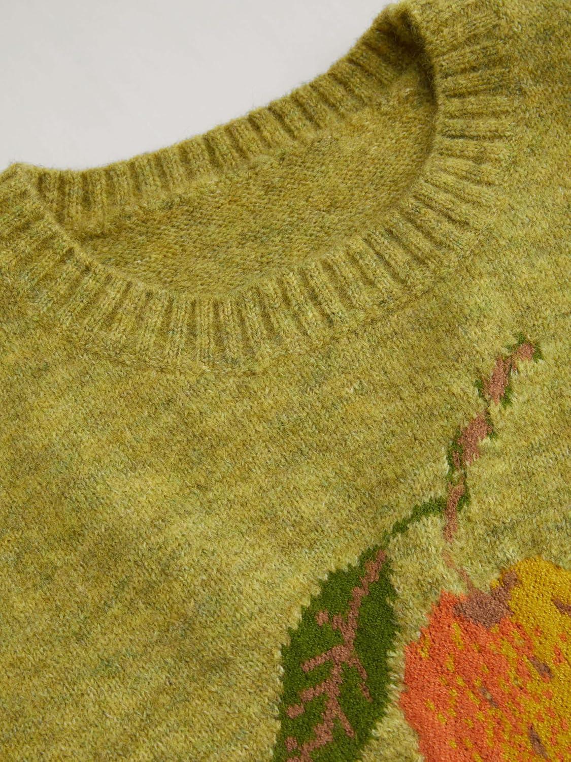 imageCIDER Womens Sweater Vest Knit Sleeveless Pear Cute Graphic Sweater Vest Tank Top Fall OutfitsOlive Green