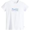 Color Poster Logo Bright White