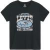 Levi's Horse Poster