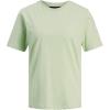 Pastel Green